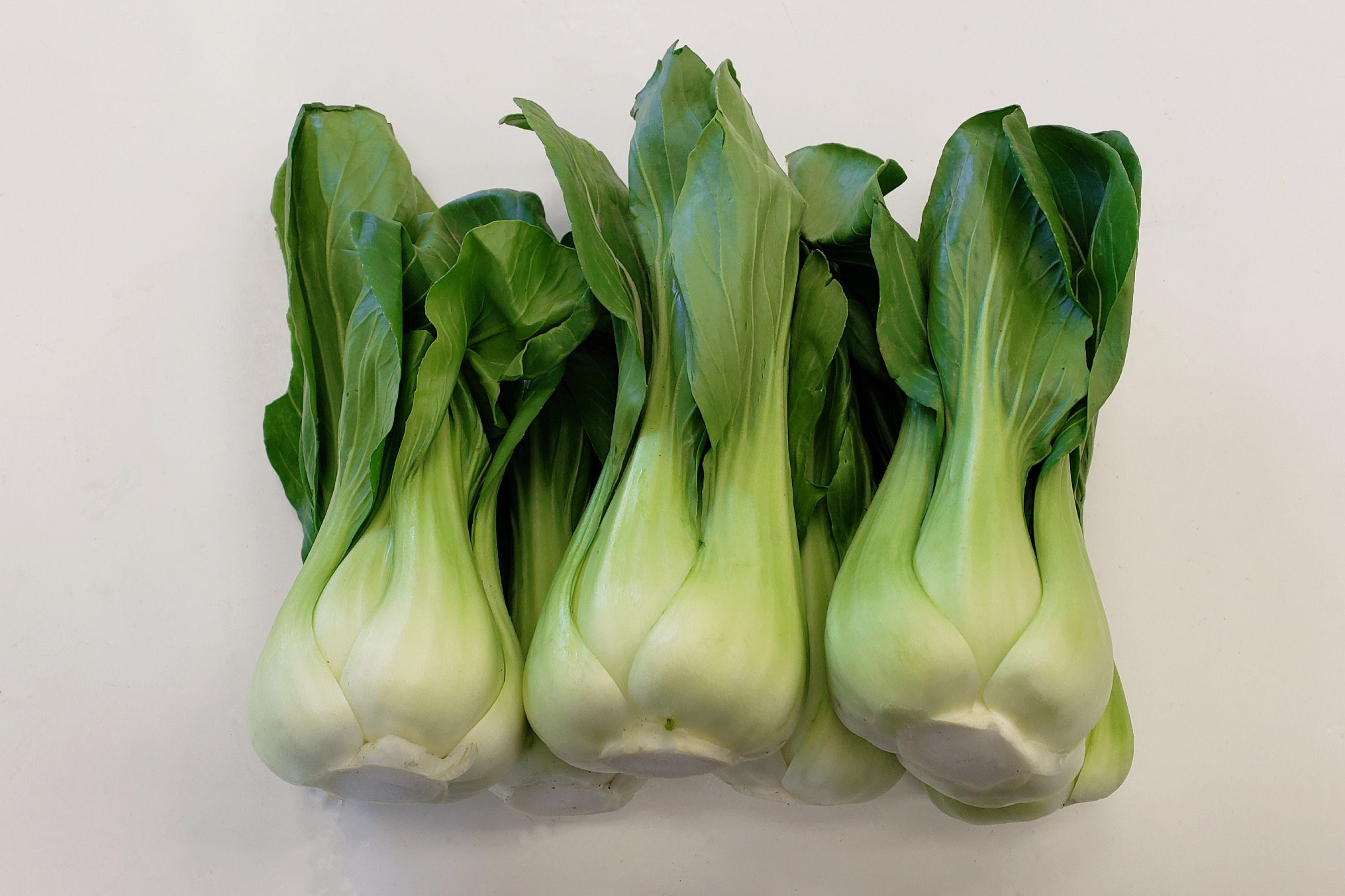 上海菜